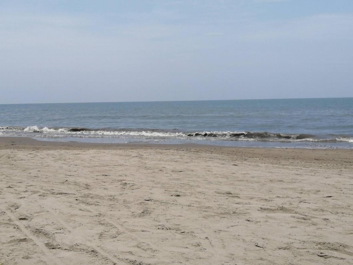 Terraza Morros Apartment